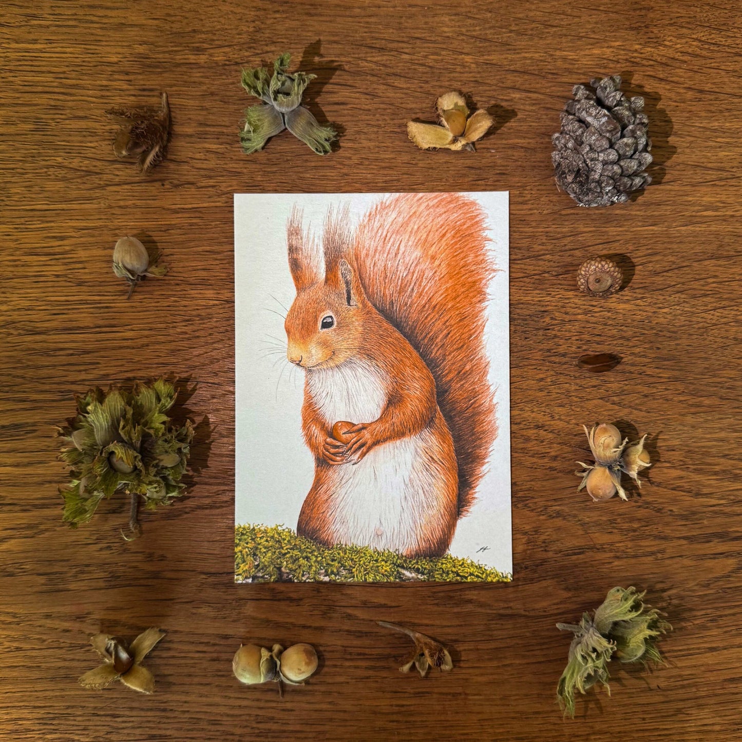Aikona Illustration Grußkarte Eichhörnchen