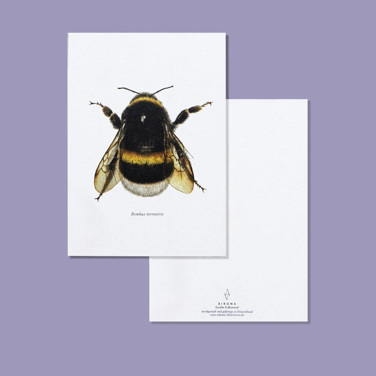 Aikona Illustration Grußkarte Hummel