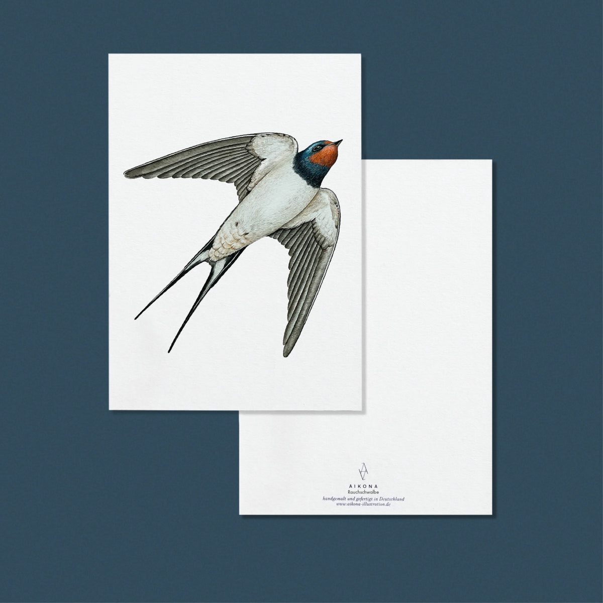 Aikona Illustration Grußkarte Rauchschwalbe