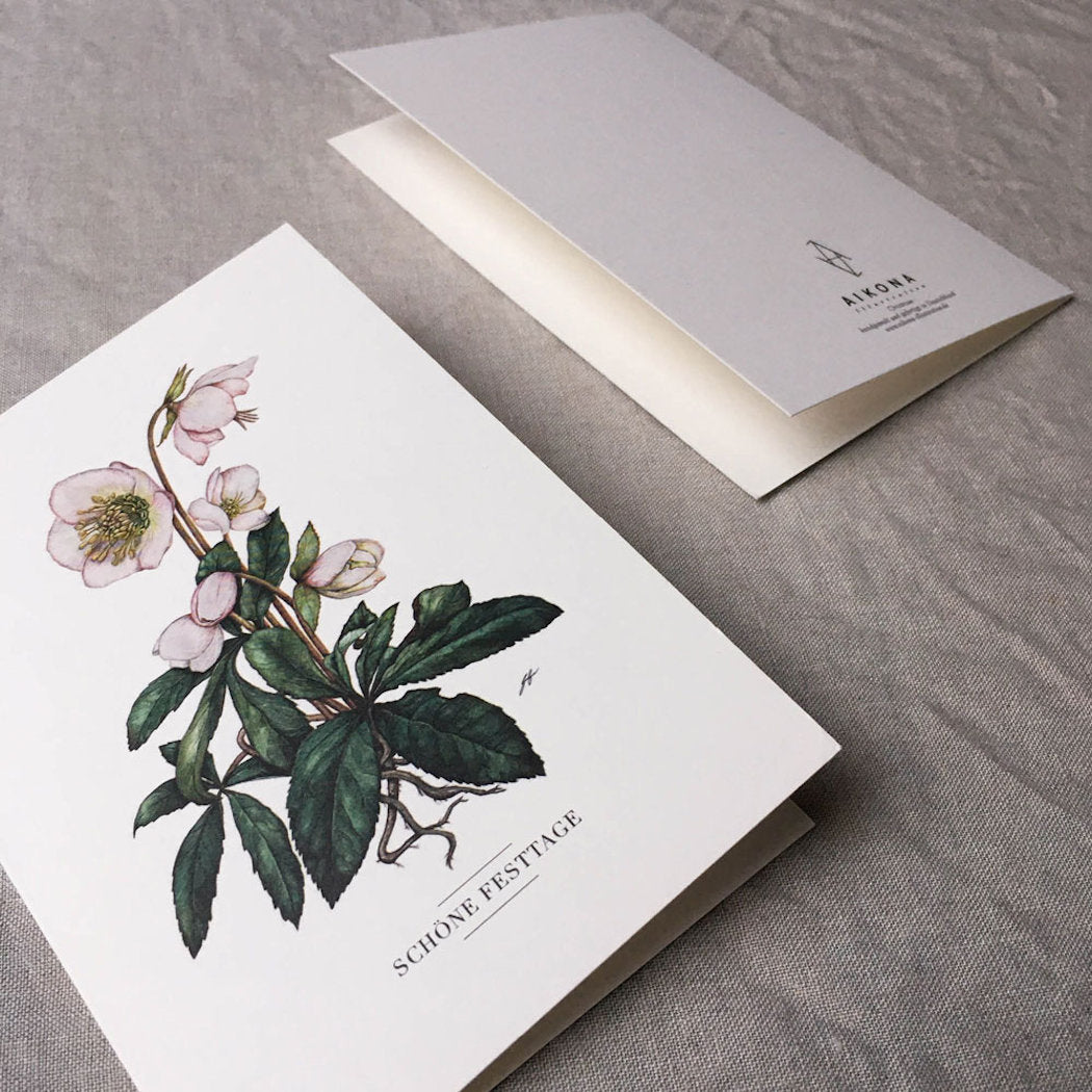 Aikona Illustration Klappkarte Christrose