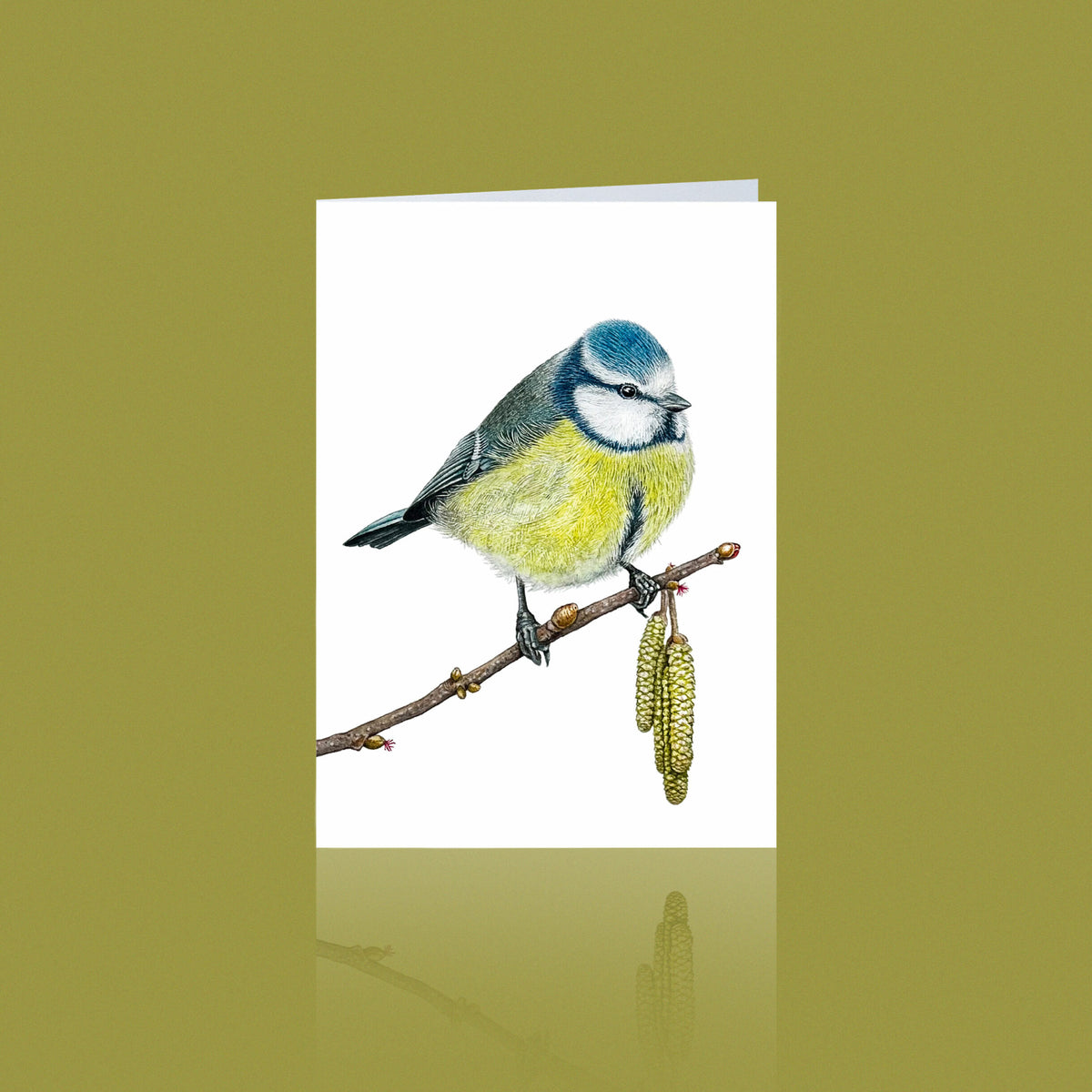 Aikona Illustration Klappkarte Meisen