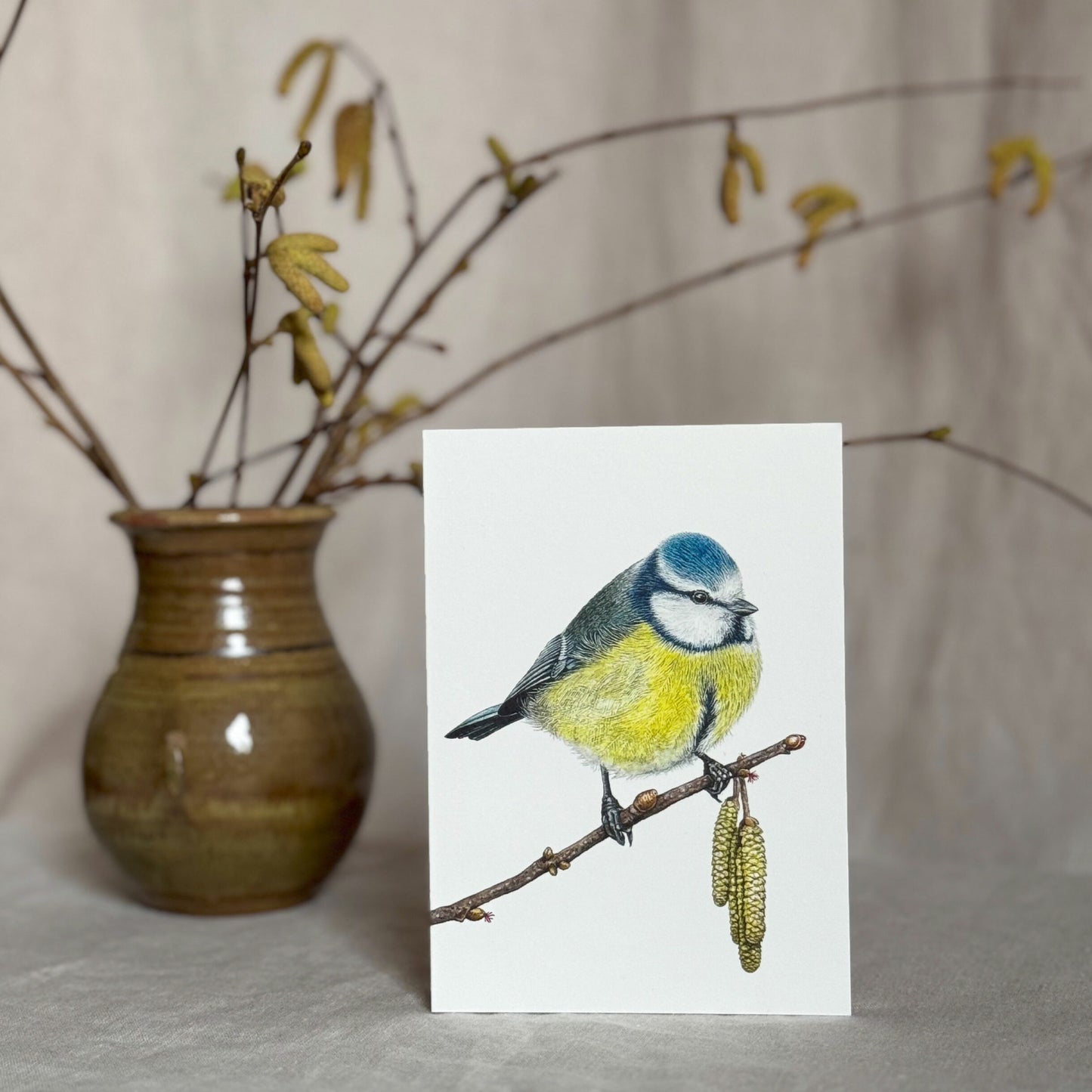 Aikona Illustration Klappkarte Meisen