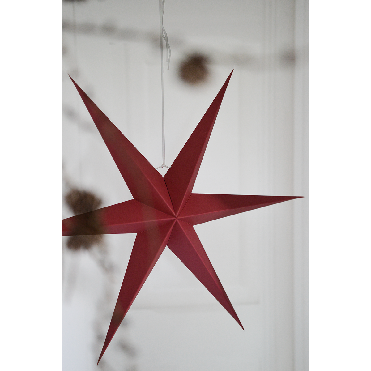 Delight Department Weihnachtsstern 2er-Set winterrot