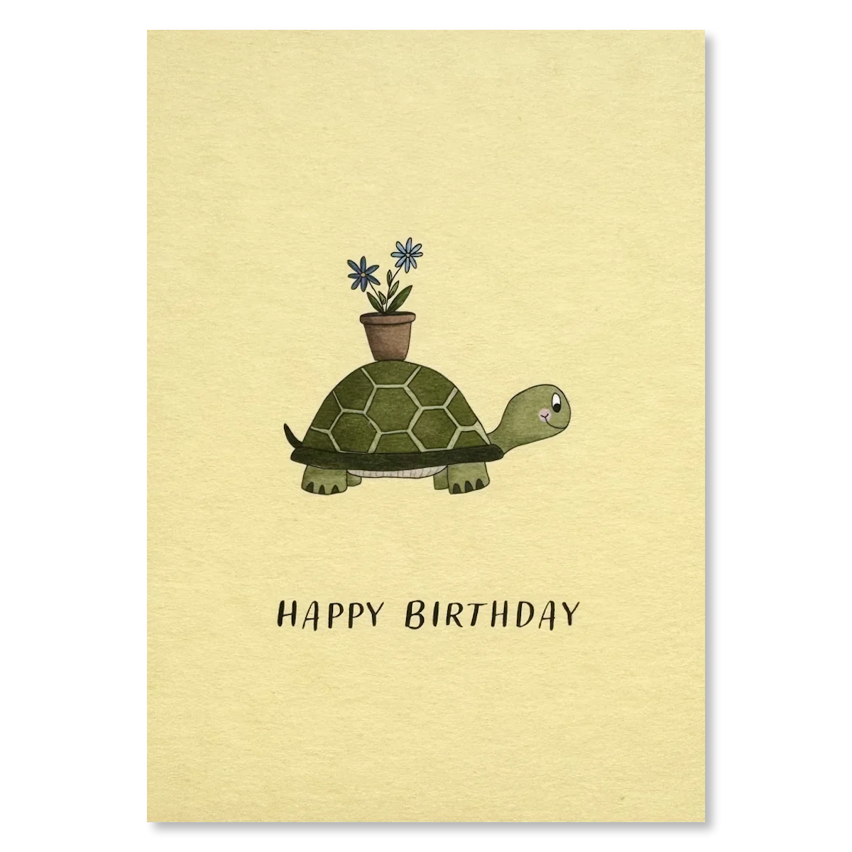 KEITCARDS Grußkarte Schildkröte mit Blumen
