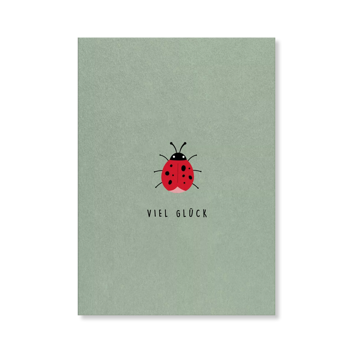 Naturbedacht Postkarte Viel Glück Marienkäfer Nr. 50