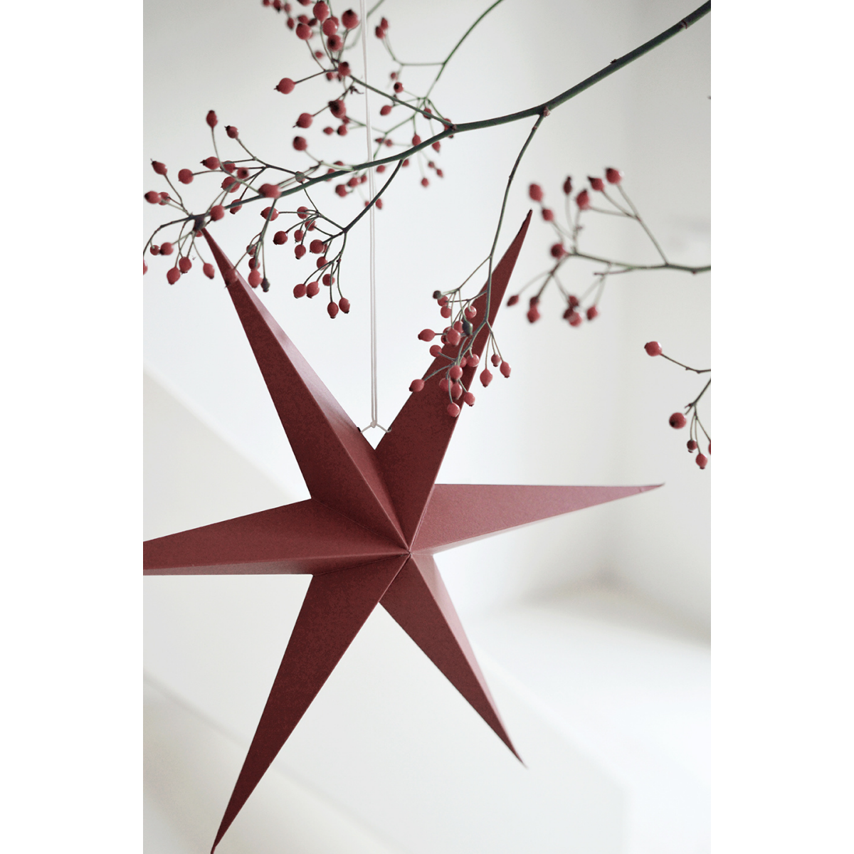 Noordliving Weihnachtsstern 2er-Set weinrot