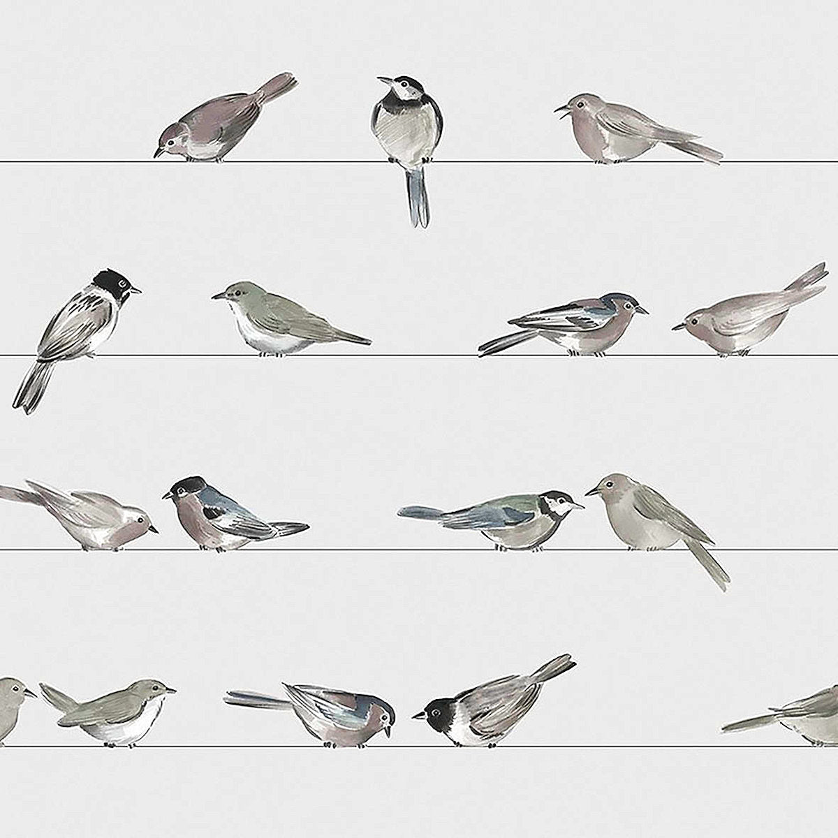 ppd Birds Lunch-Servietten 33x33 cm