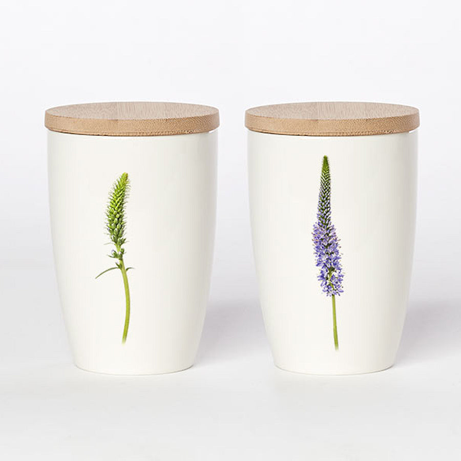 Simply Flowers Becher Ähriger Ehrenpreis - groß