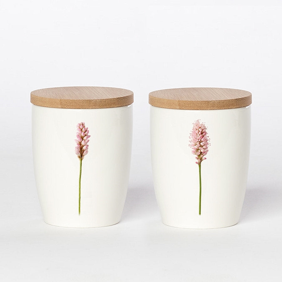 Simply Flowers Becher Floh-Knöterich