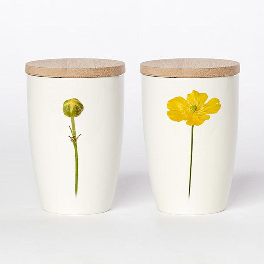 Simply Flowers Becher Hahnenfuß - groß