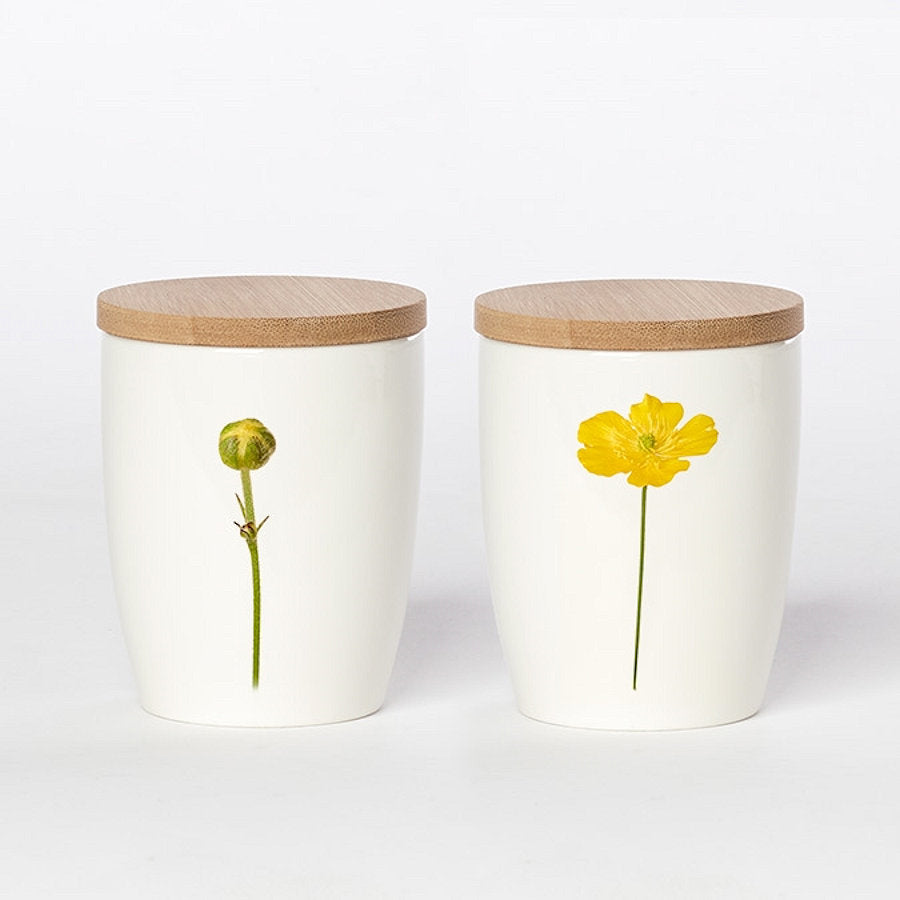 Simply Flowers Becher Hahnenfuß