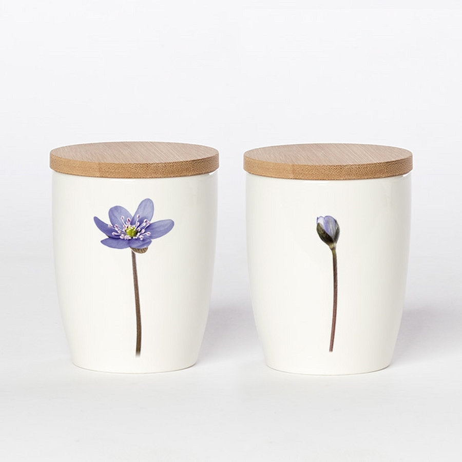 Simply Flowers Becher Leberblümchen