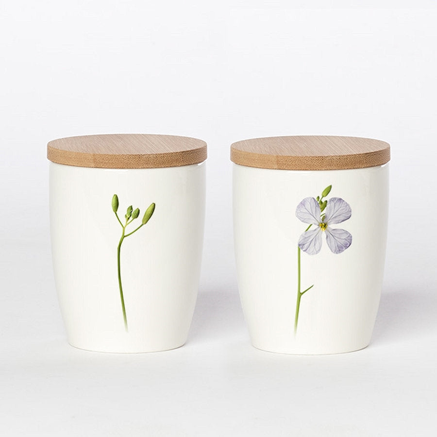 Simply Flowers Becher Ölrettich