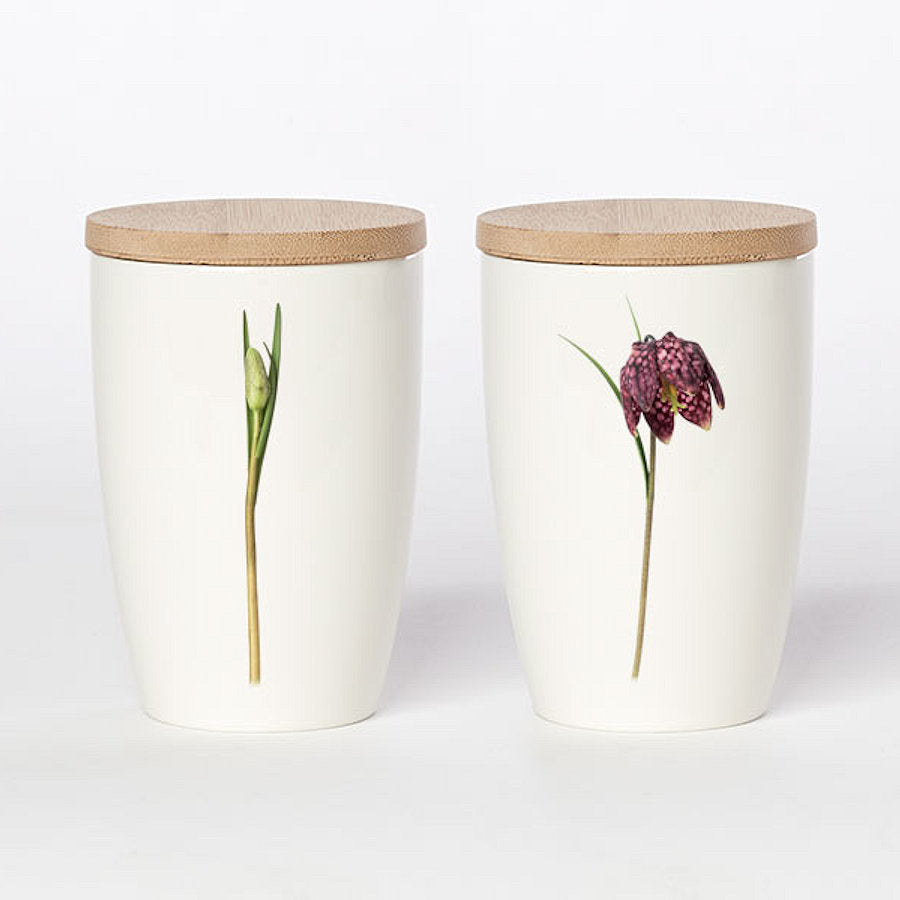 Simply Flowers Becher Schachbrettblume - groß