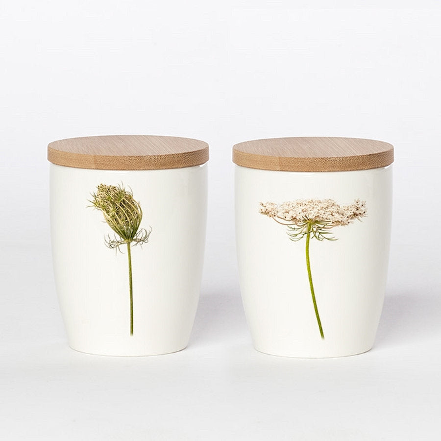 Simply Flowers Becher Wilde Möhre