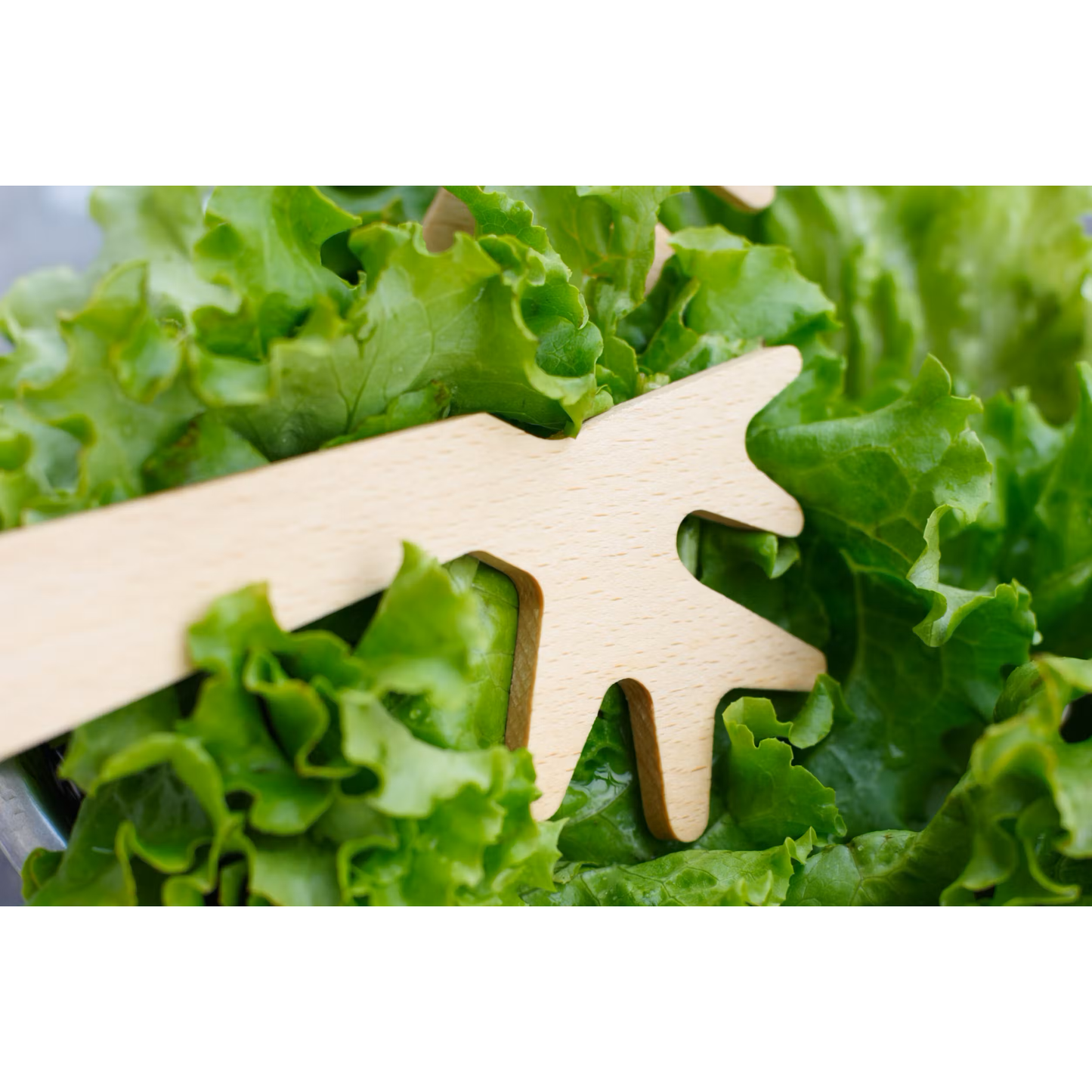 Designstudio Reine Mère Salatbesteck Zweige