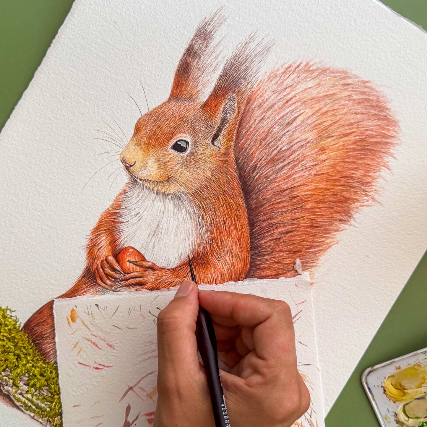 Aikona Illustration Grußkarte Eichhörnchen