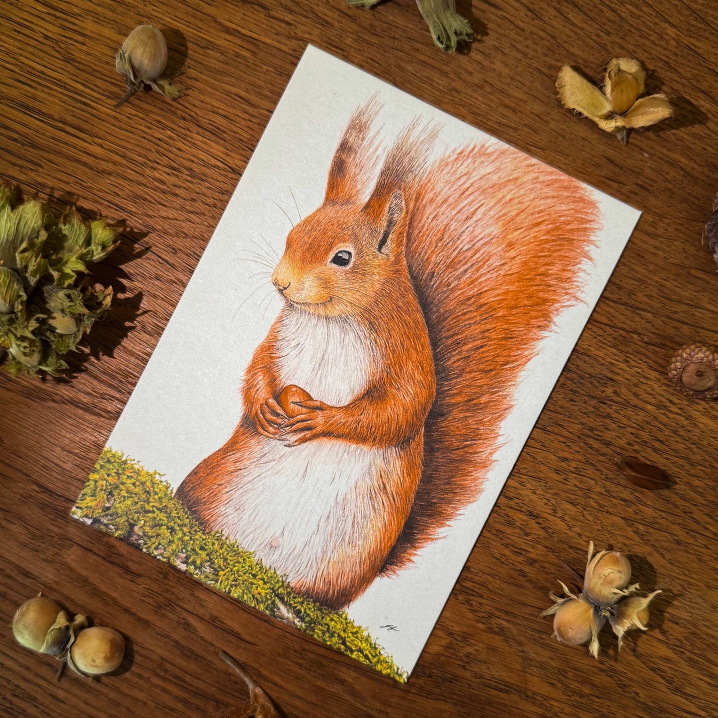 Aikona Illustration Grußkarte Eichhörnchen