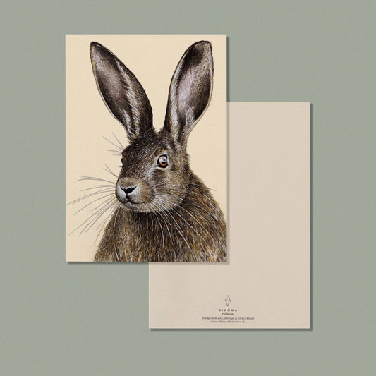 Aikona Illustration Grußkarte Feldhase