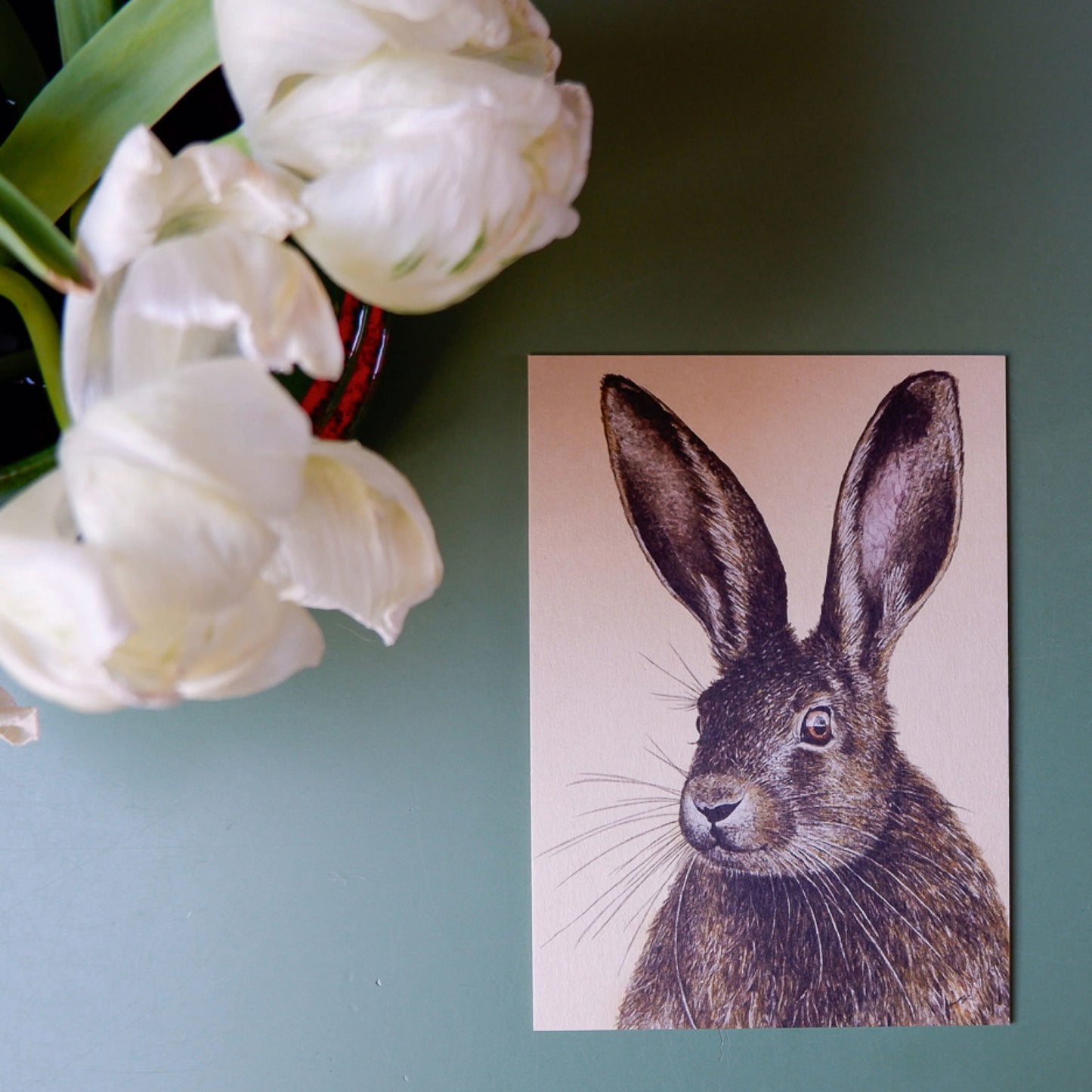 Aikona Illustration Grußkarte Feldhase