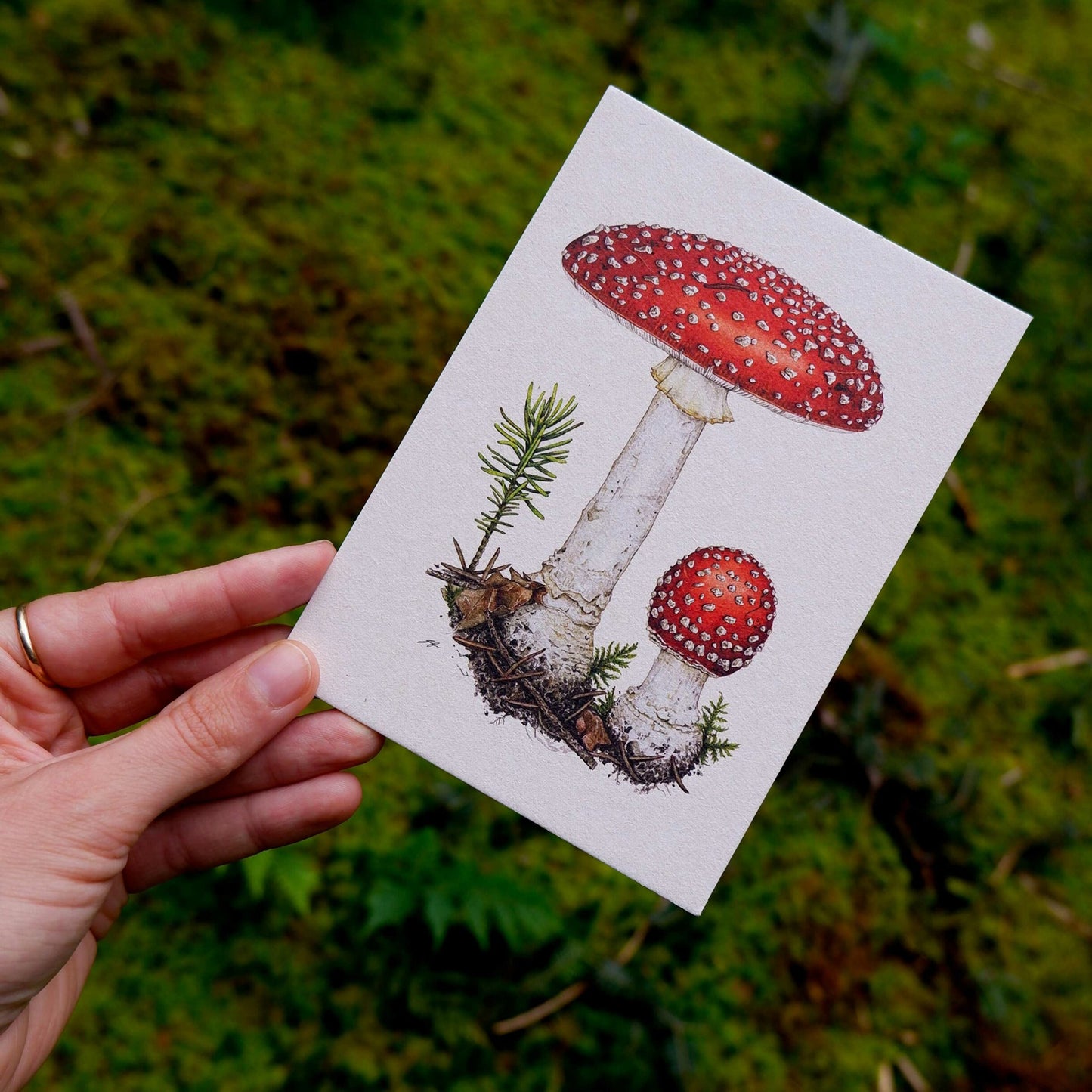 Aikona Illustration Grußkarte Fliegenpilz