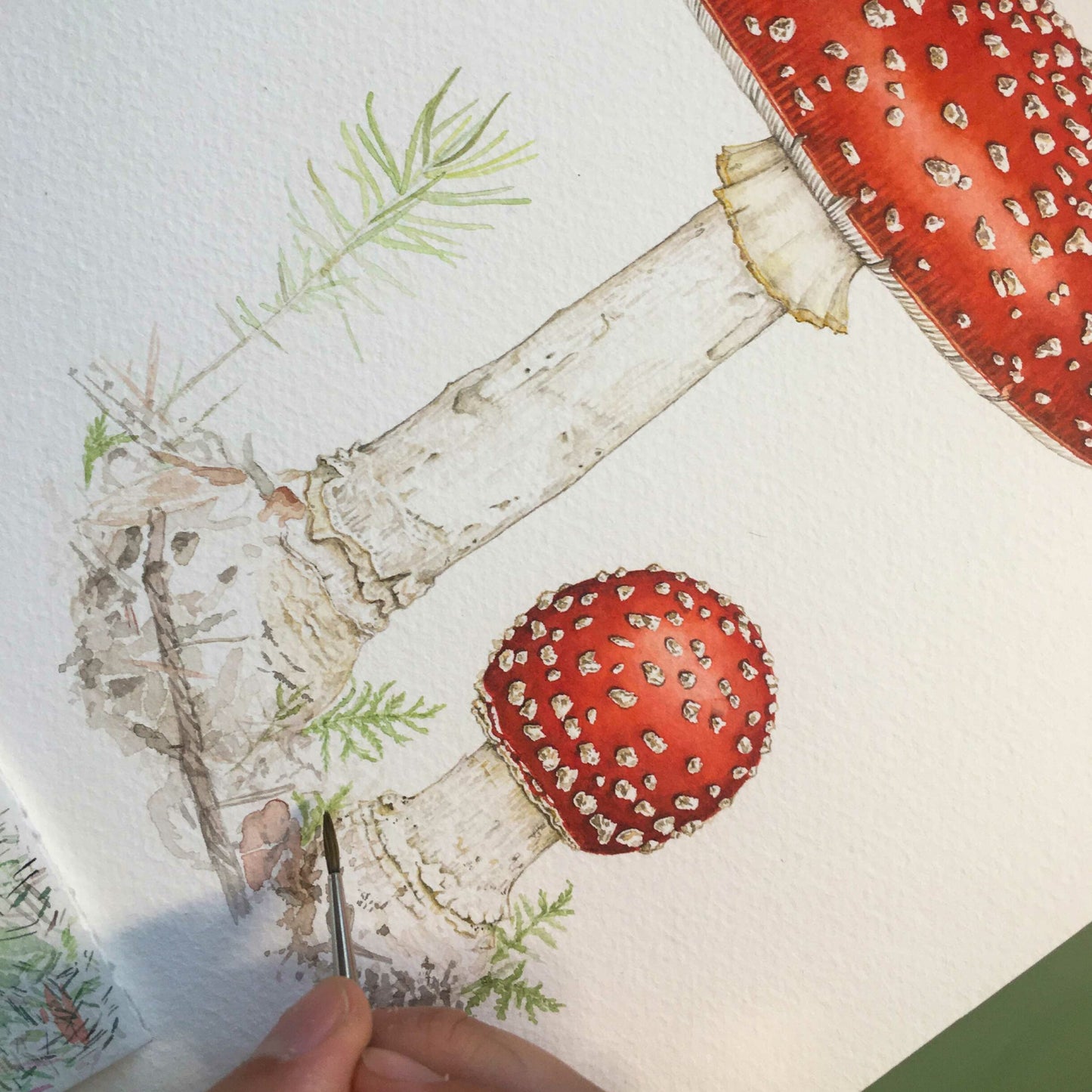 Aikona Illustration Grußkarte Fliegenpilz