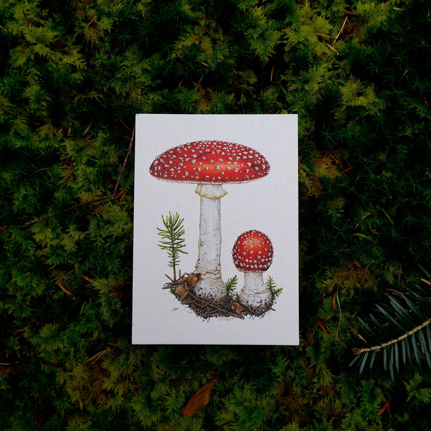 Aikona Illustration Grußkarte Fliegenpilz