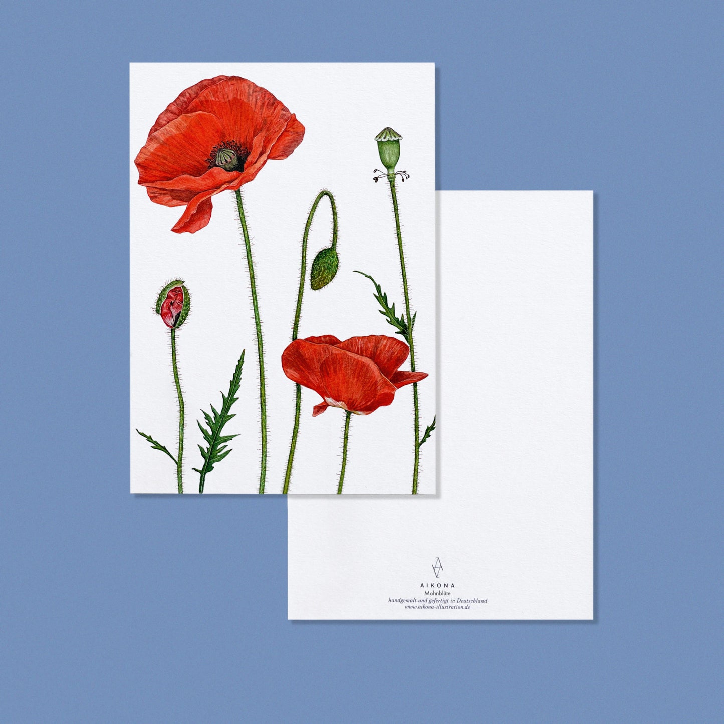 Aikona Illustration Grußkarte Mohnblüte
