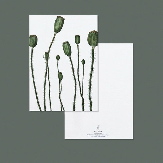 Aikona Illustration Grußkarte Mohnkapseln