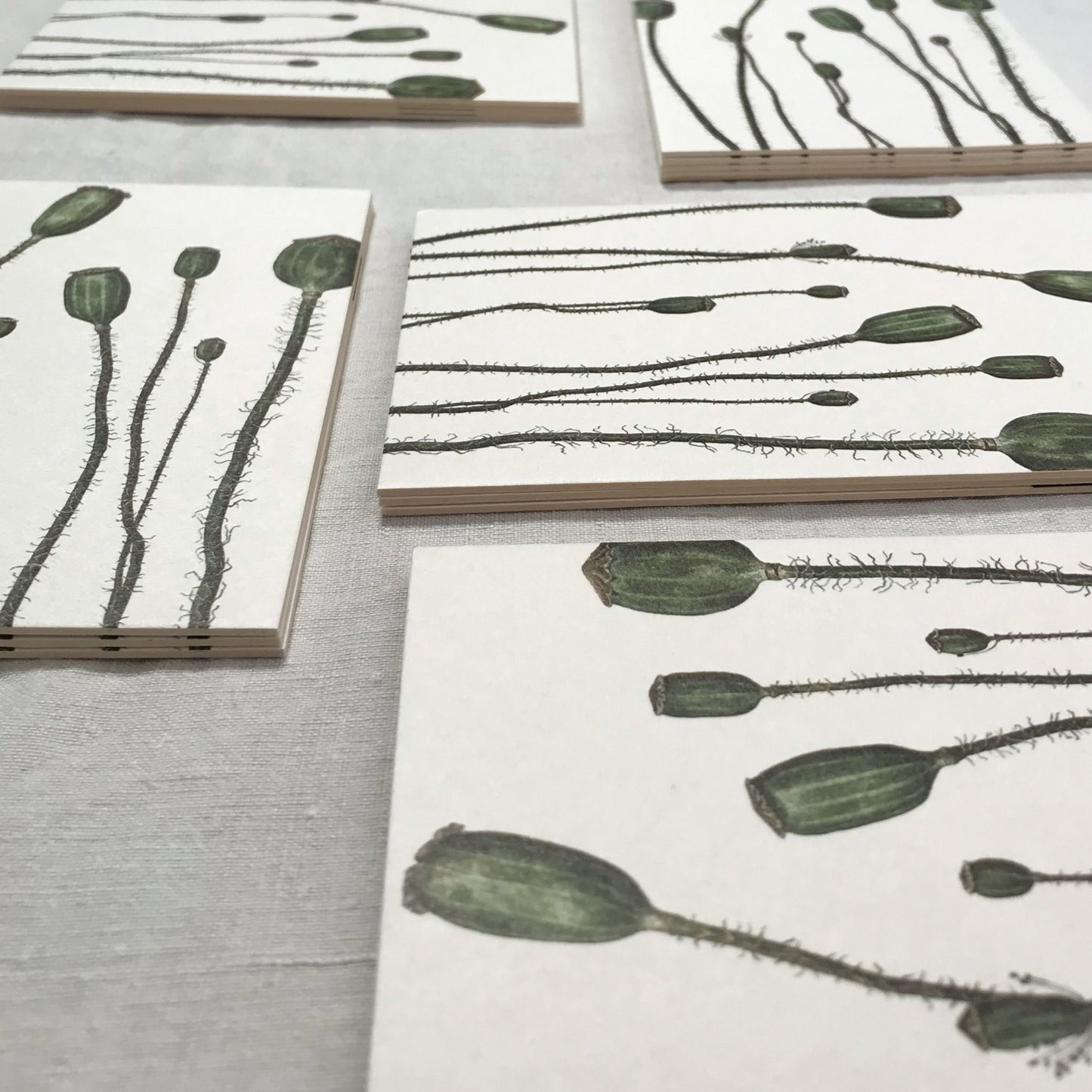 Aikona Illustration Grußkarte Mohnkapseln