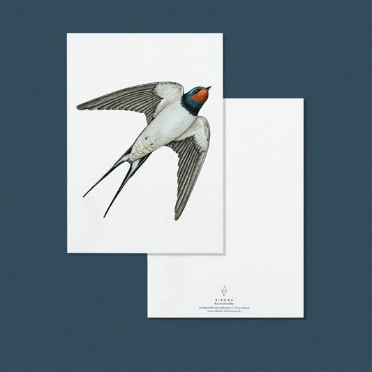 Aikona Illustration Grußkarte Rauchschwalbe