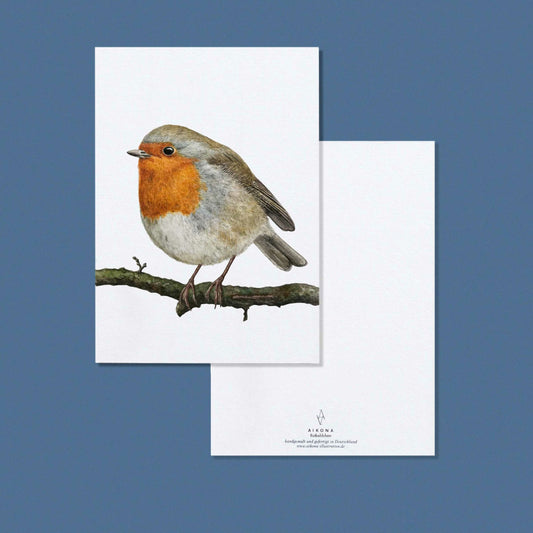 Aikona Illustration Grußkarte Rotkehlchen