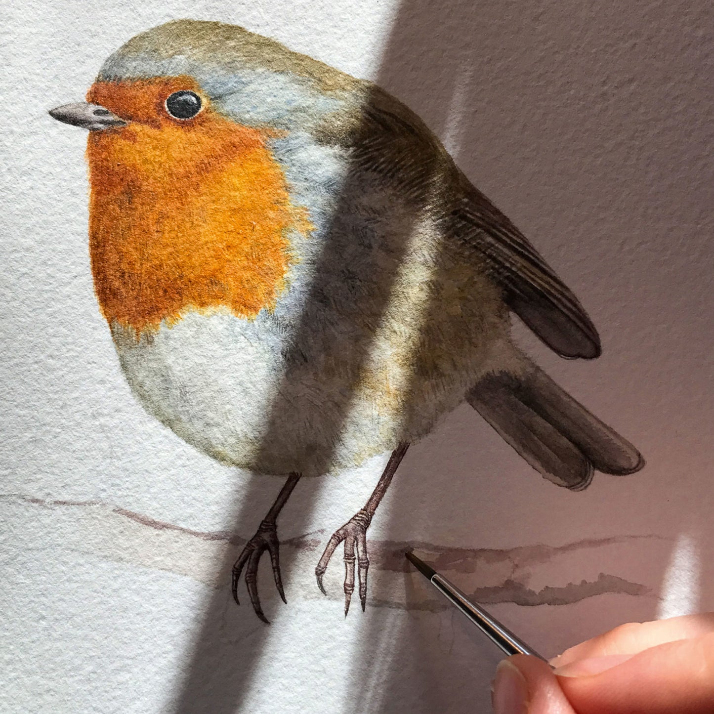 Aikona Illustration Grußkarte Rotkehlchen