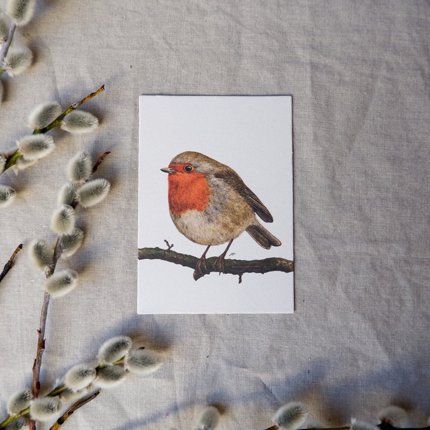 Aikona Illustration Grußkarte Rotkehlchen