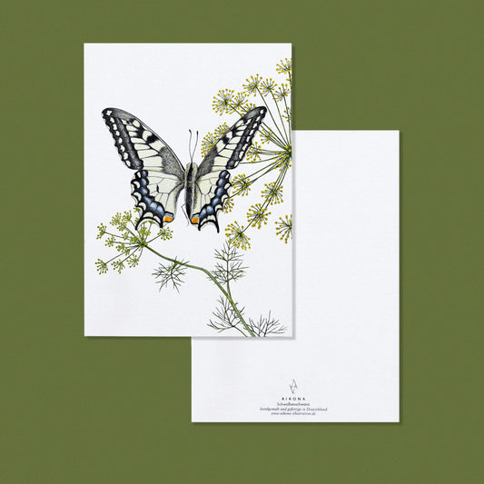Aikona Illustration Grußkarte Schwalbenschwanz