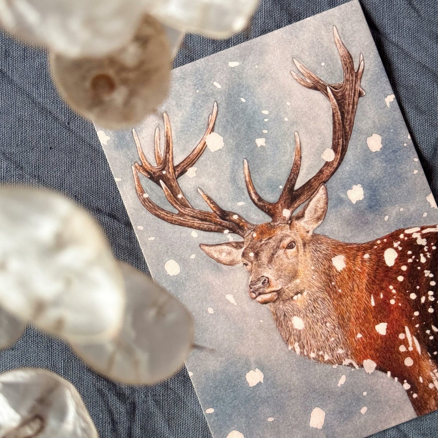 Aikona Illustration Grußkarte Hirsch