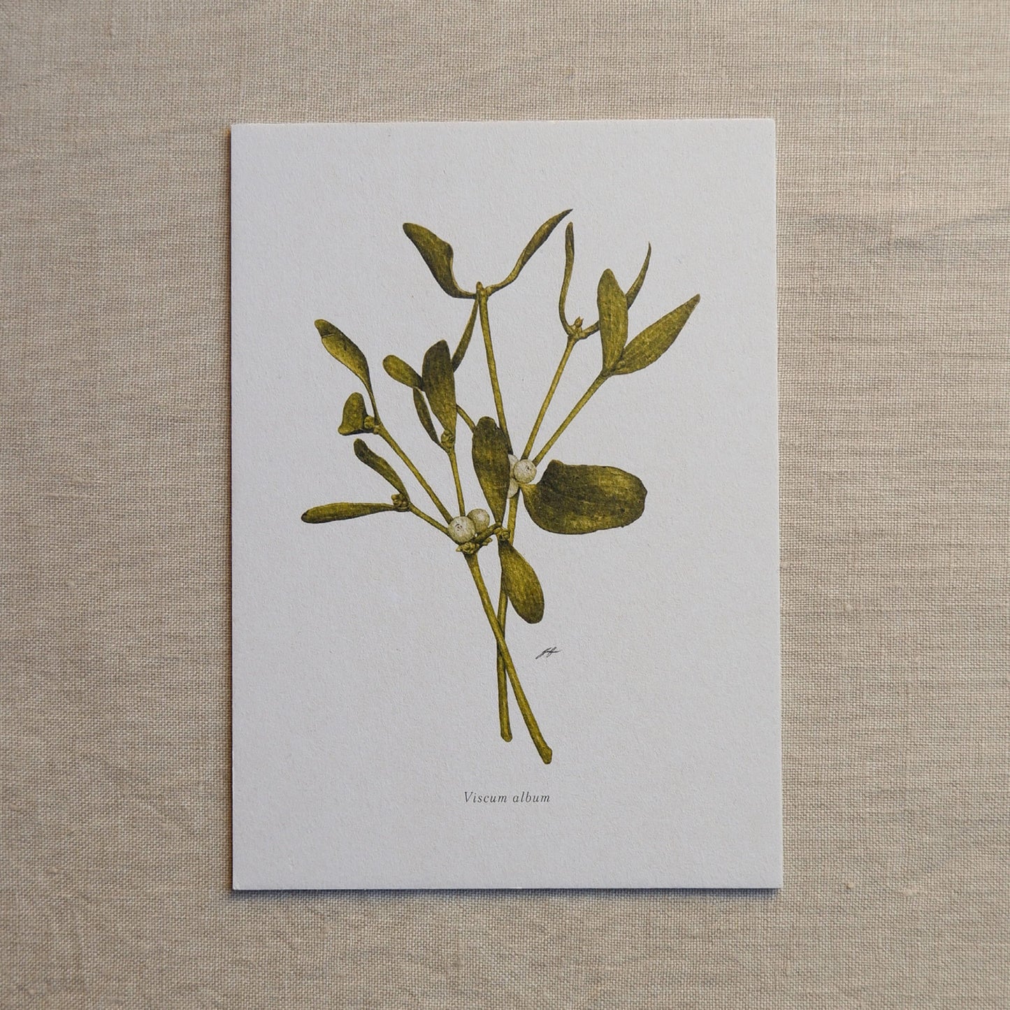 Aikona Illustration Grußkarte Mistelzweig