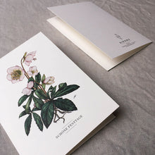 Lade das Bild in den Galerie-Viewer, Aikona Illustration Klappkarte Christrose
