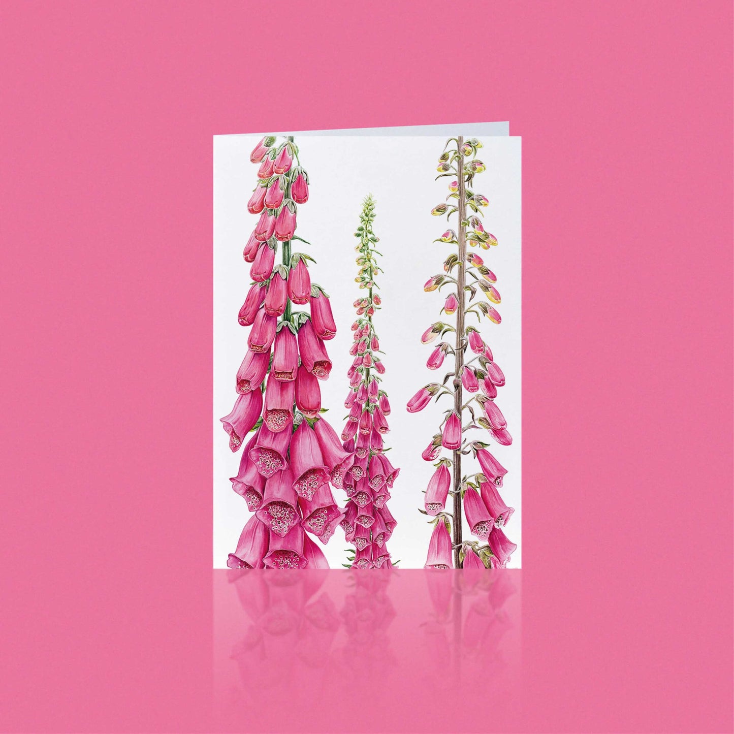 Aikona Illustration Klappkarte Fingerhut