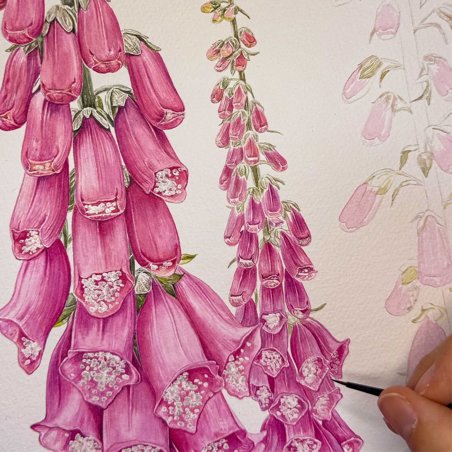 Aikona Illustration Klappkarte Fingerhut