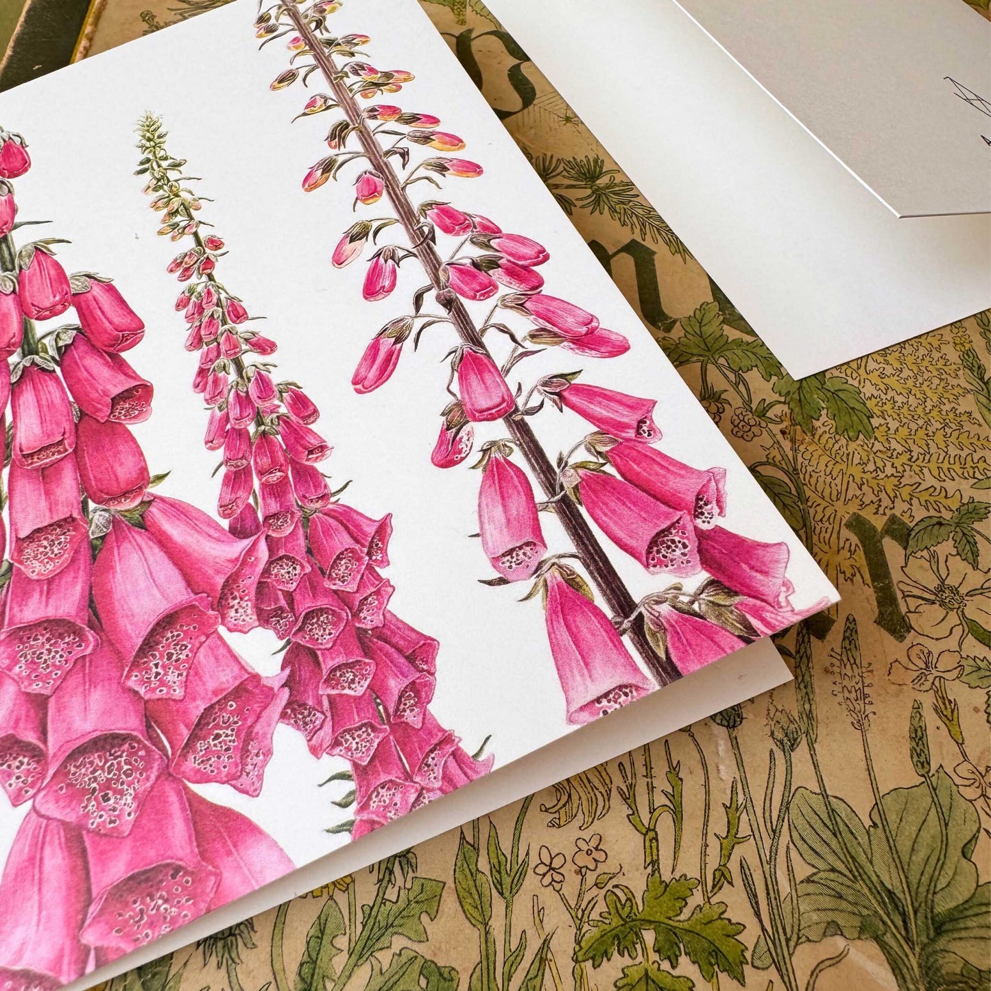 Aikona Illustration Klappkarte Fingerhut