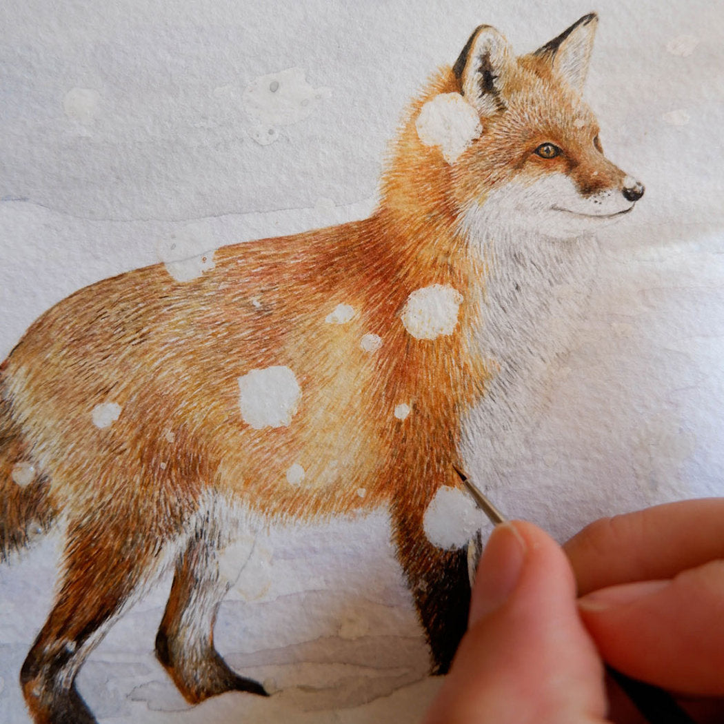 Aikona Illustration Klappkarte Fuchs