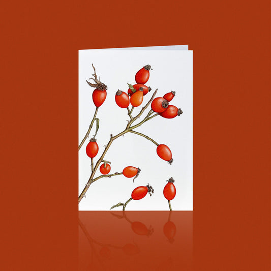 Aikona Illustration Klappkarte Hagebutte