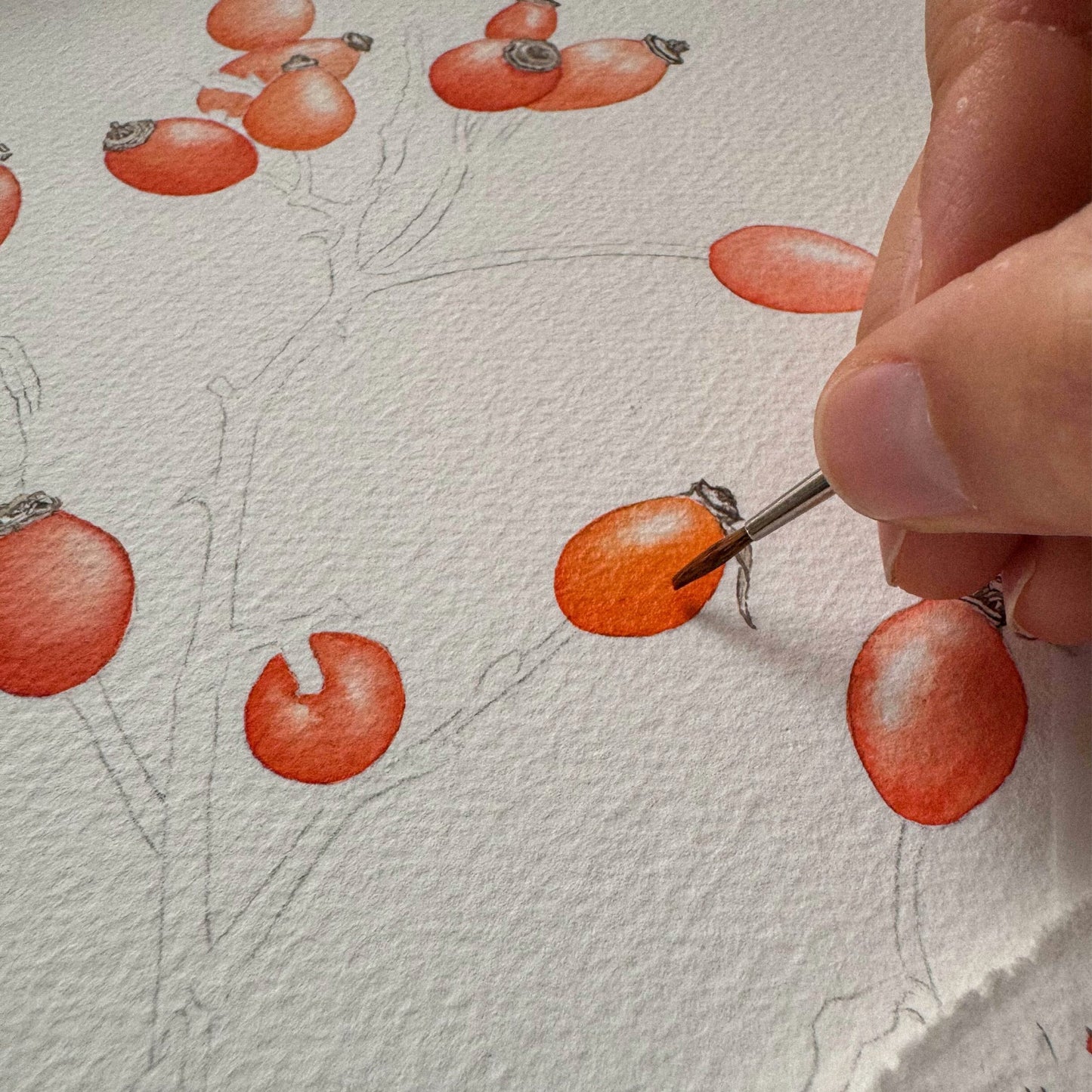 Aikona Illustration Klappkarte Hagebutte