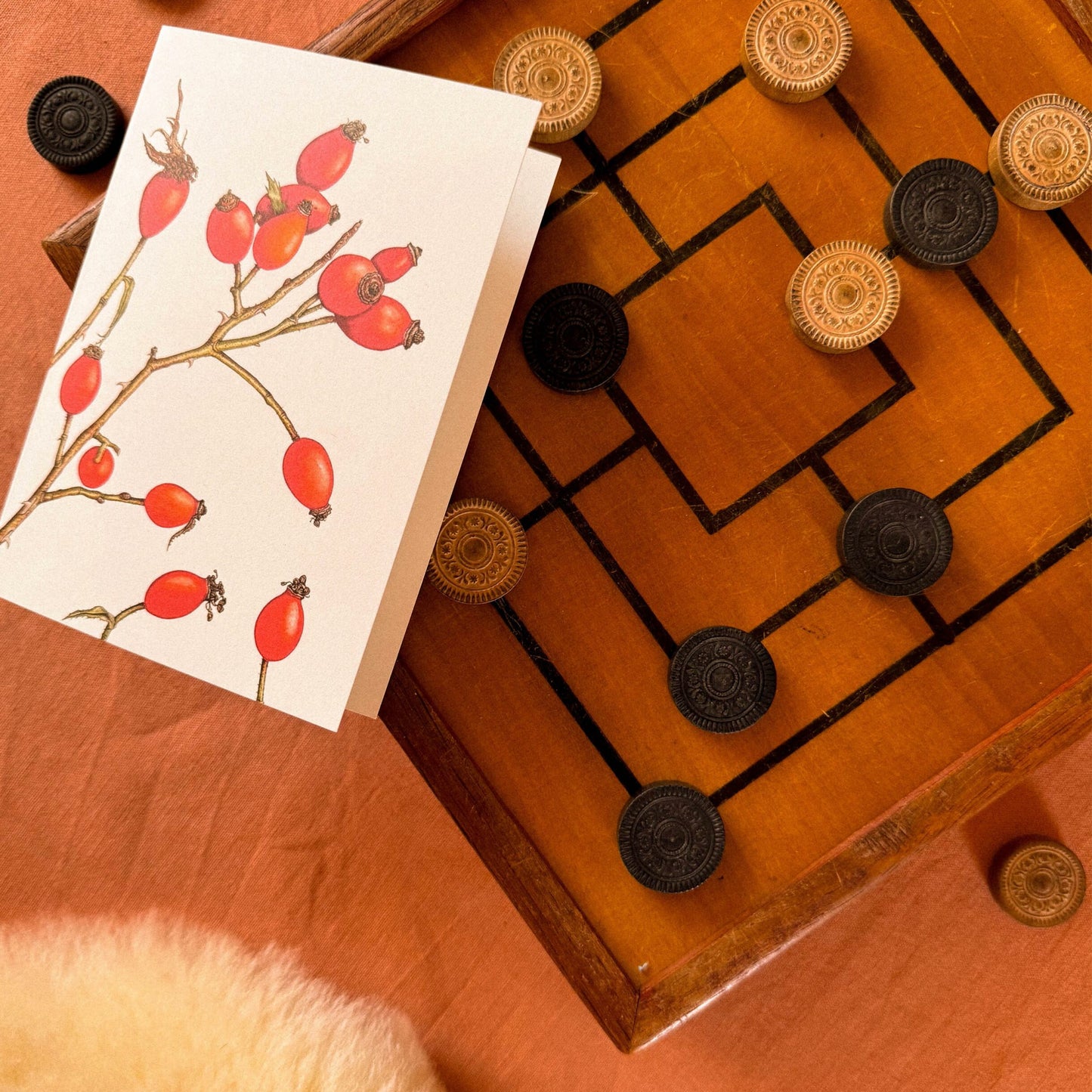 Aikona Illustration Klappkarte Hagebutte