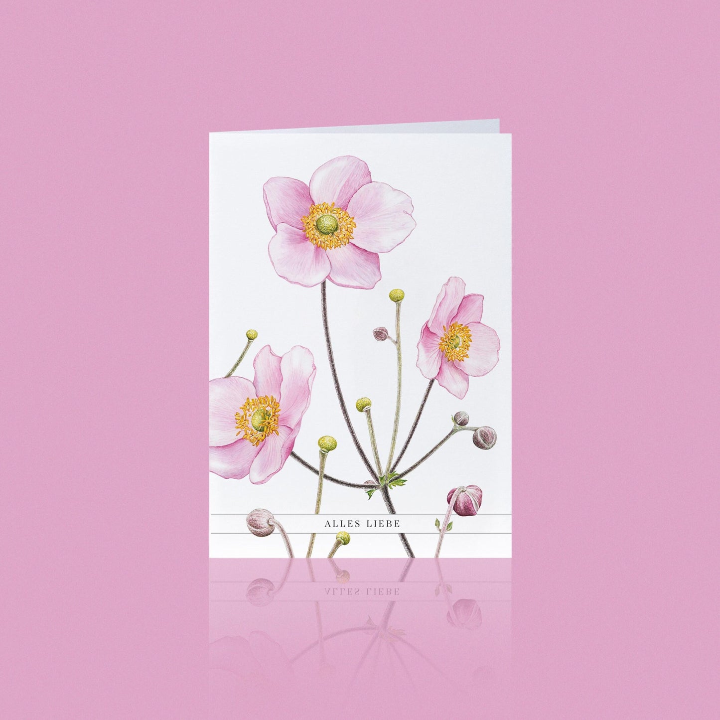 Aikona Illustration Klappkarte Herbst-Anemone