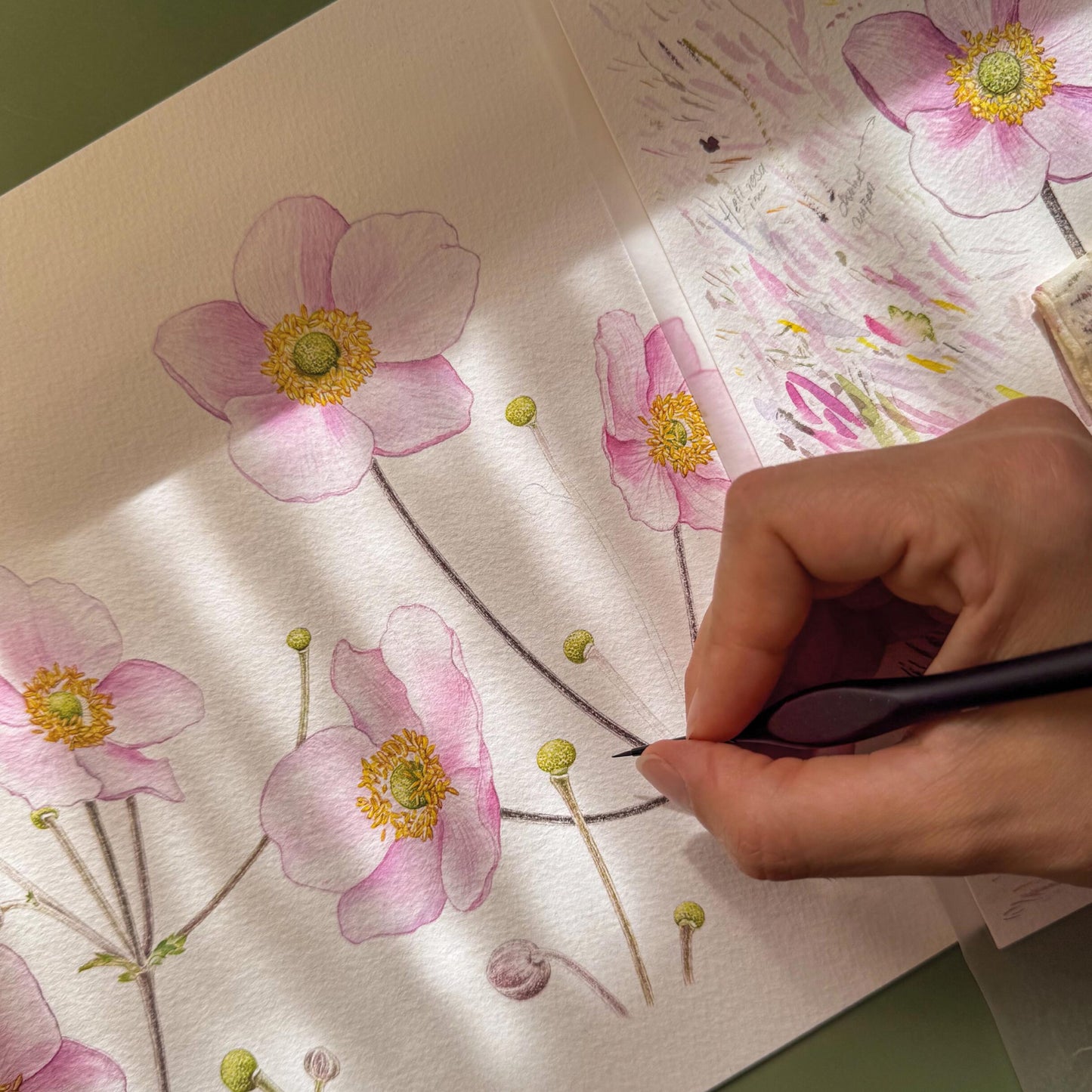 Aikona Illustration Klappkarte Herbst-Anemone