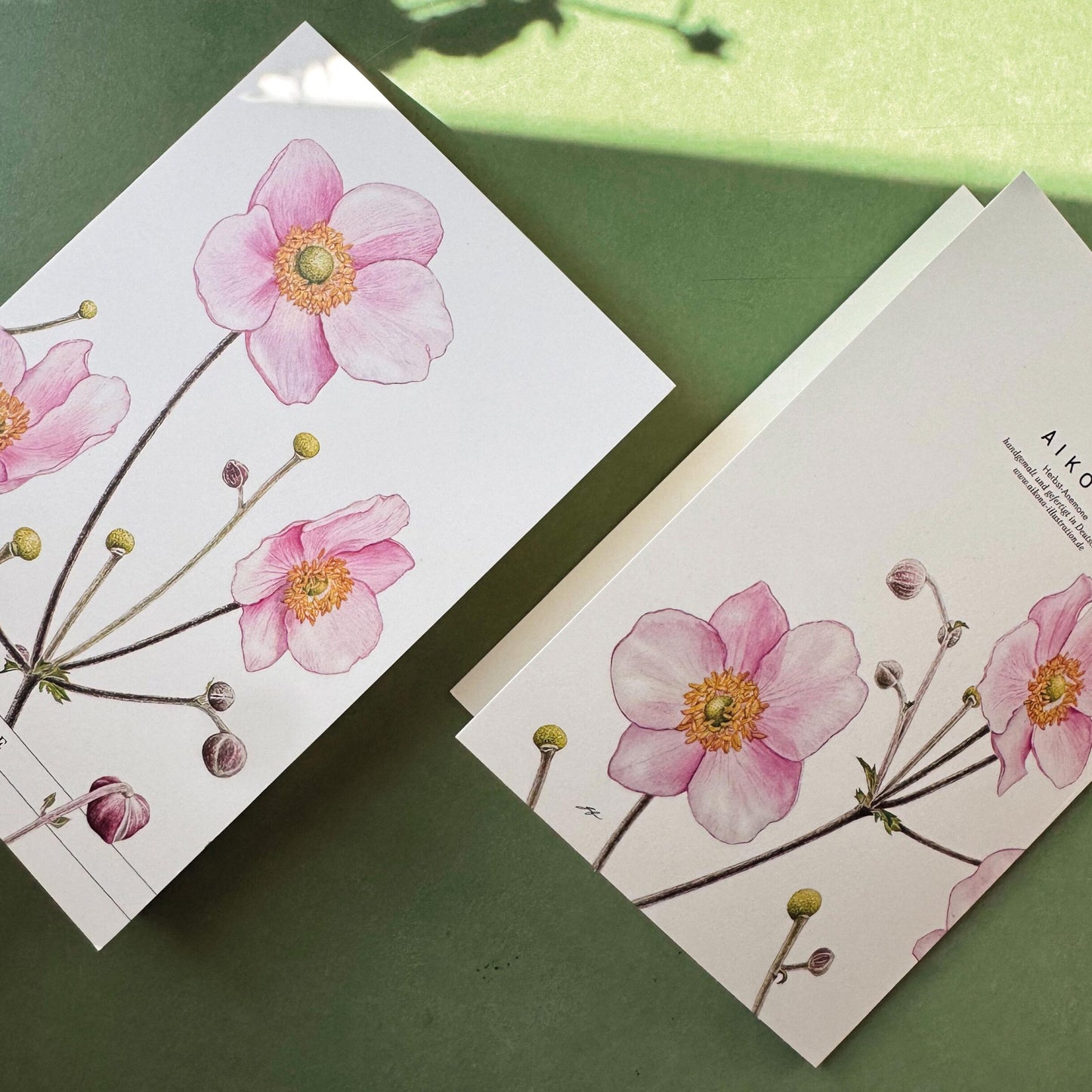 Aikona Illustration Klappkarte Herbst-Anemone