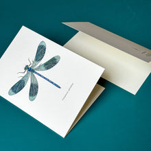 Lade das Bild in den Galerie-Viewer, Aikona Illustration Klappkarte Libelle
