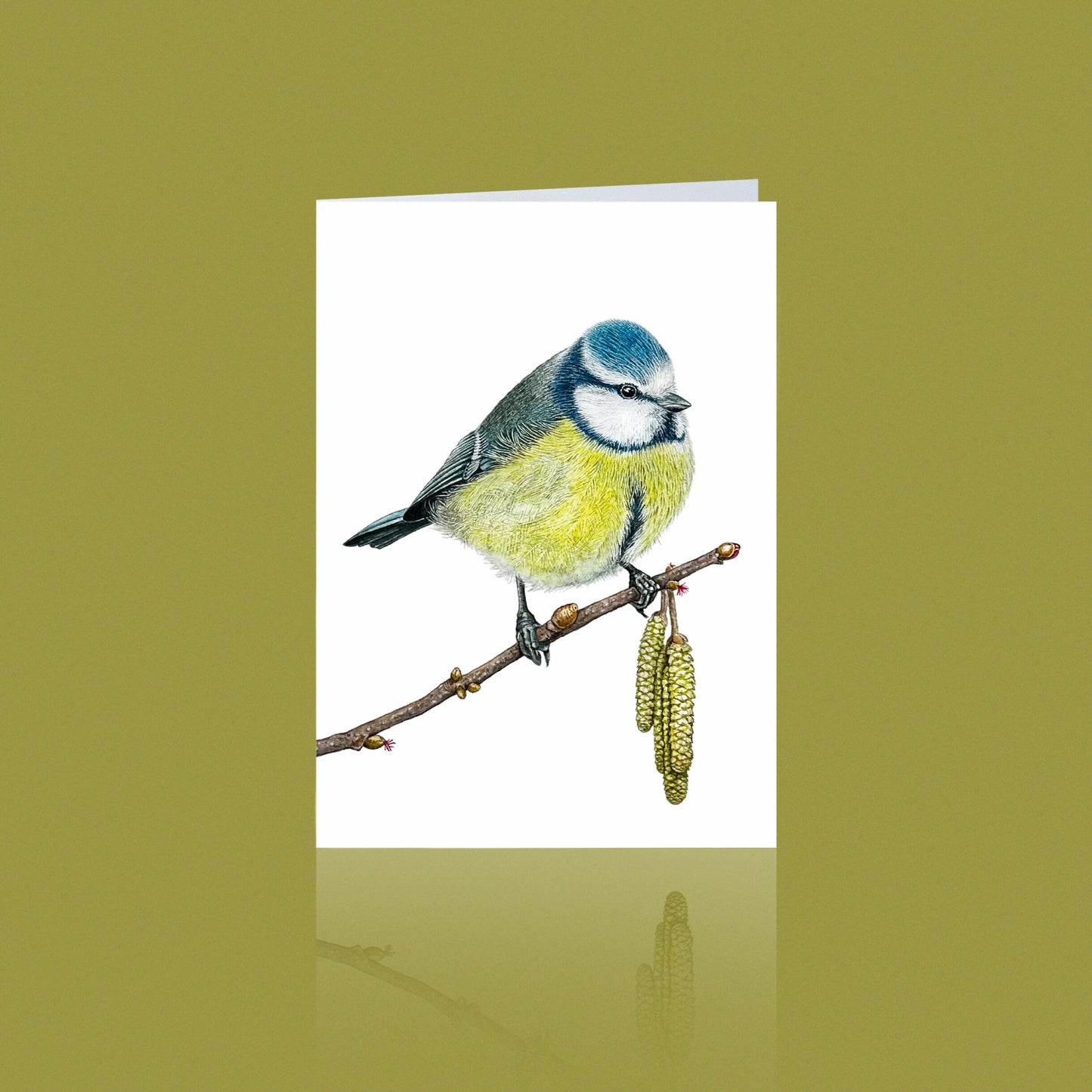 Aikona Illustration Klappkarte Meisen